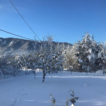 Holiday House Koraコレニツァ エクステリア 写真