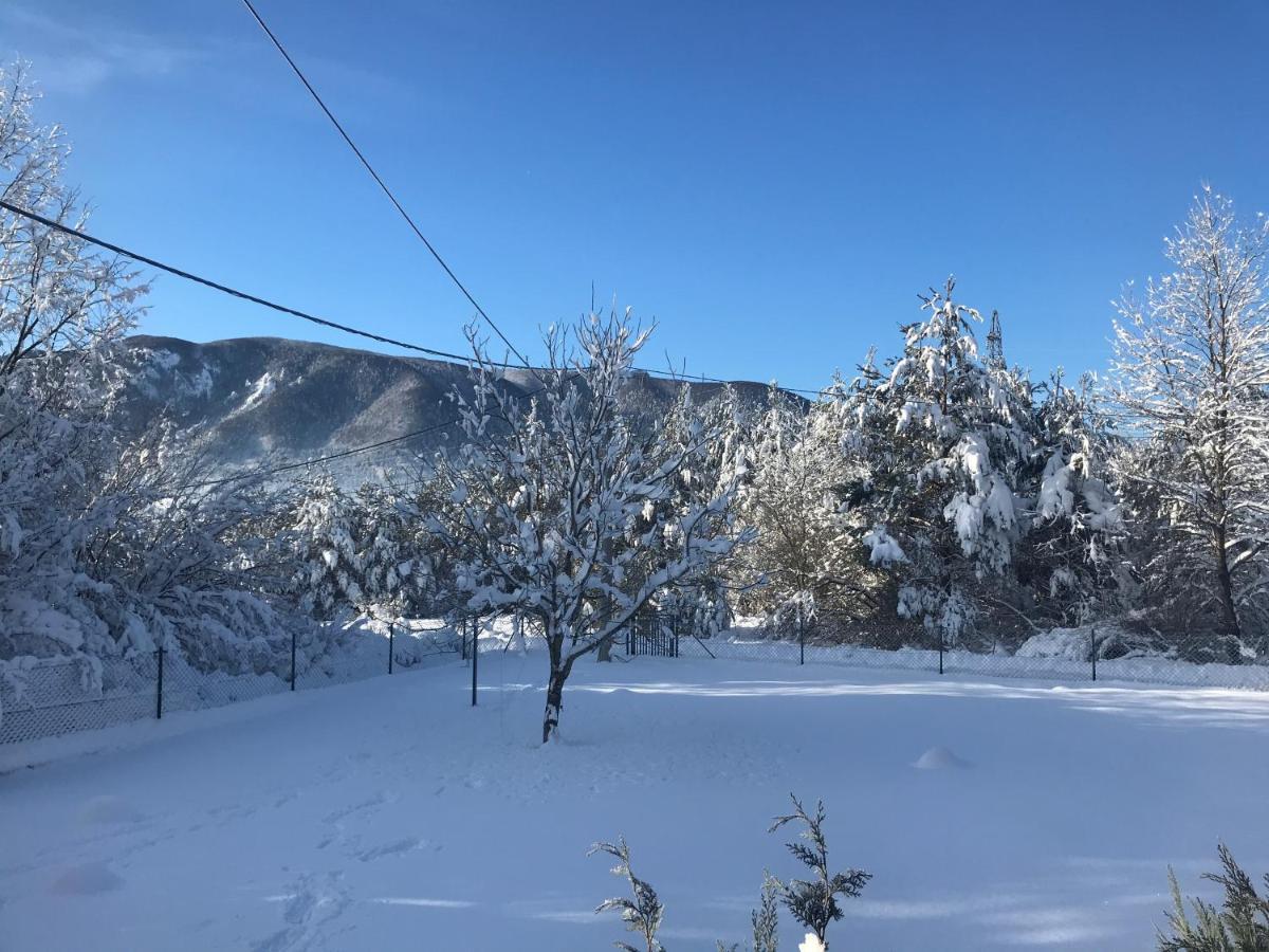 Holiday House Koraコレニツァ エクステリア 写真
